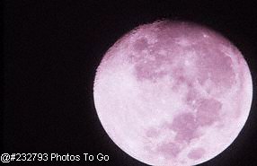 Moon close up in night sky